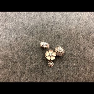 Pandora Charms